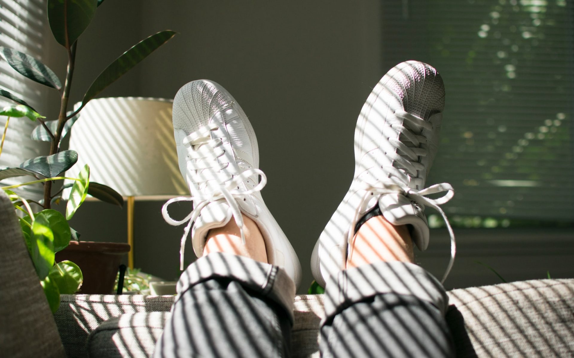 pair of white adidas superstar sneakers