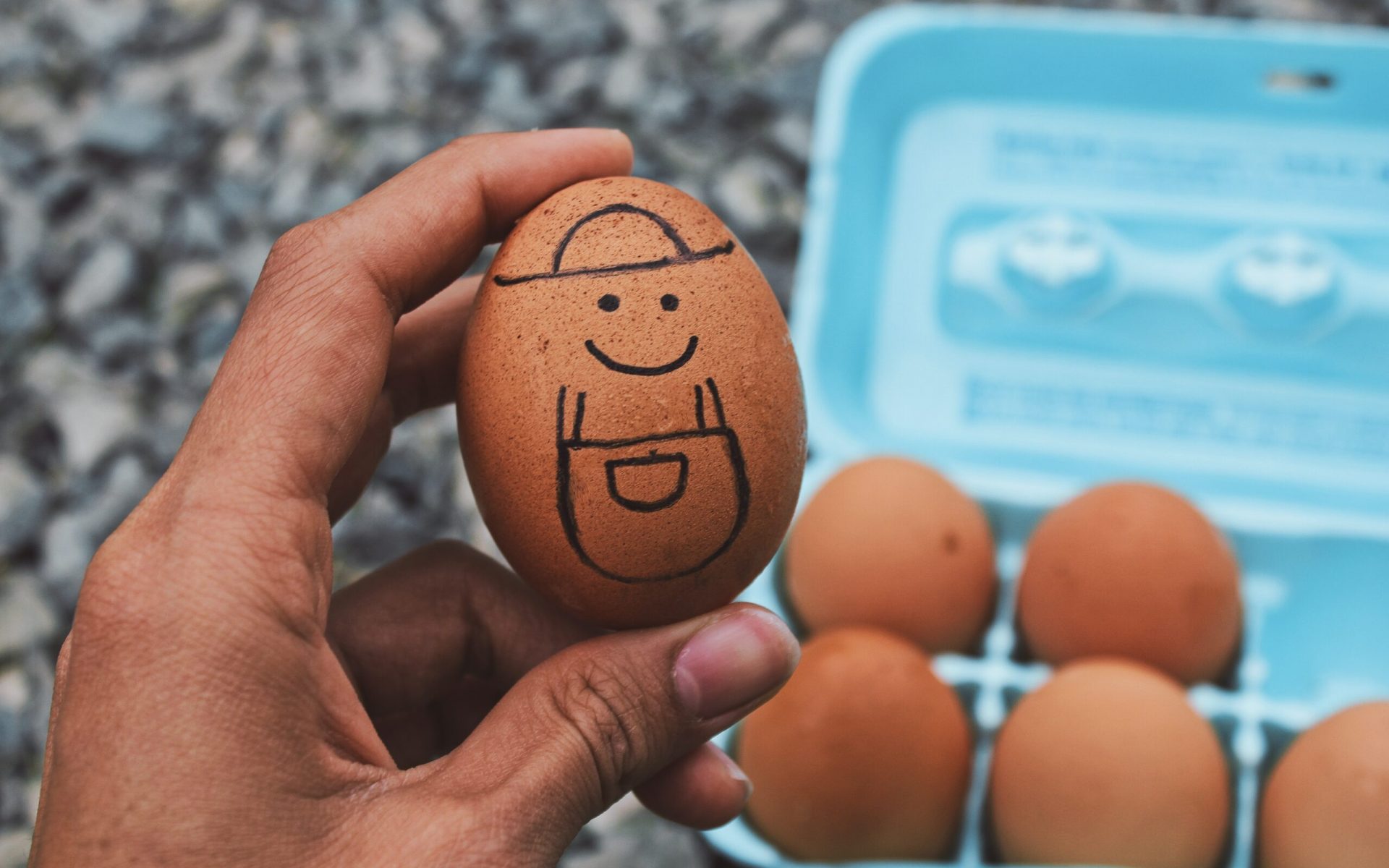 person holding brown egg